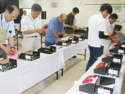 奄美大島・喜界島マンゴー品評会
