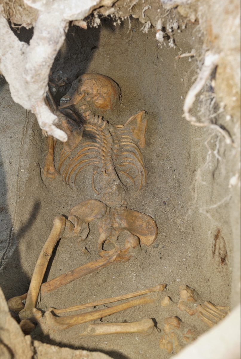 中世期の人骨１体検出