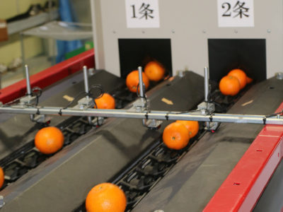 委託選果量、倍以上に増加