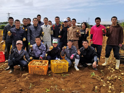 バレイショ収穫に汗