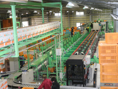 有効活用の処方箋 ハコモノ行政考える 上