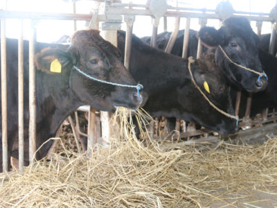 群島農政推進協事業計画