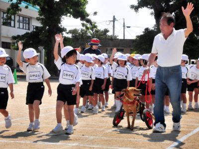 交通安全教室に一役