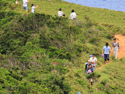 宮古崎、「西郷どん効果」健在