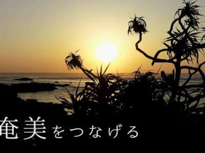 「ＳＤＧｓ」テーマに奄美の可能性アピール