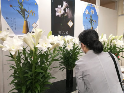 「咲八姫」、来館者魅了