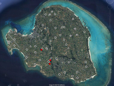 特定外来生物「シロアゴガエル」分布拡大