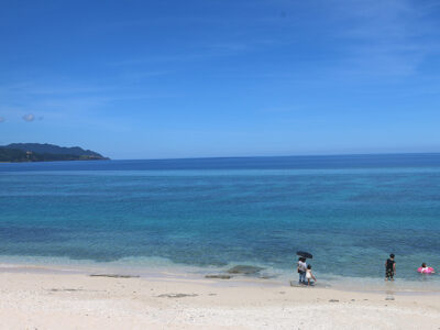 奄美６か所とも「特に良好」