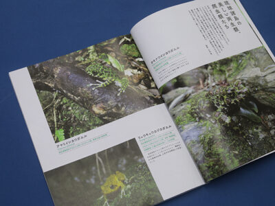『島へ。』最新号　奄美など琉球諸島の生物特集