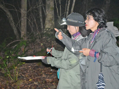 奄美大島 オオトラツグミ一斉調査