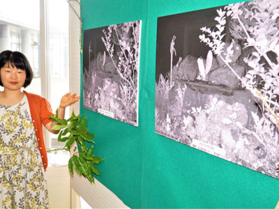 天城町役場で写真展