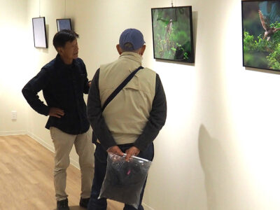 サシバが伝える豊かな自然