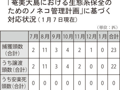 ノネコ捕獲作業を拡充