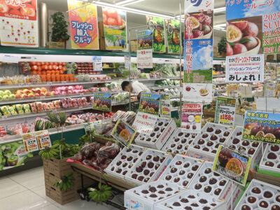 参院選～あまみの声～