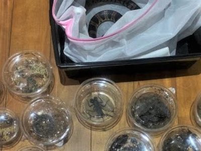 受取放棄で自然に放せず