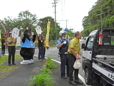 クロウサギ交通事故防止キャンペーン