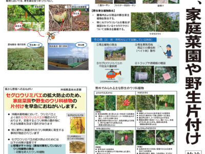 食害の幼虫５町村で確認