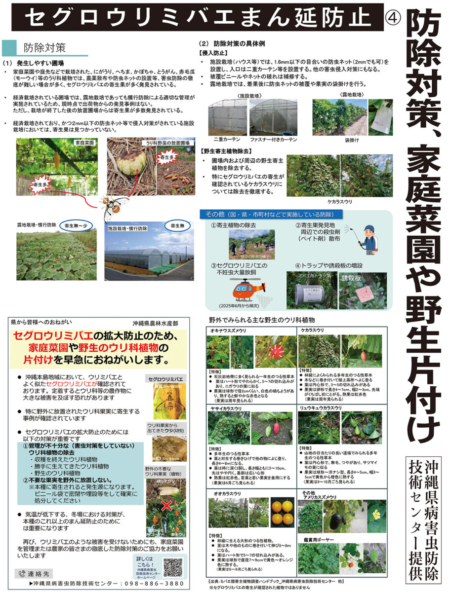 食害の幼虫５町村で確認