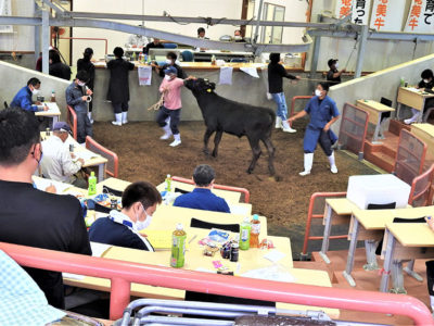 平均価格51万円まで下落