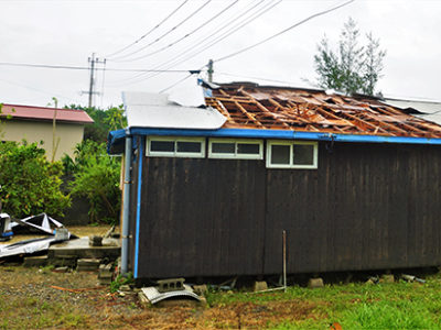 台風一過　奄美地方北部に爪痕