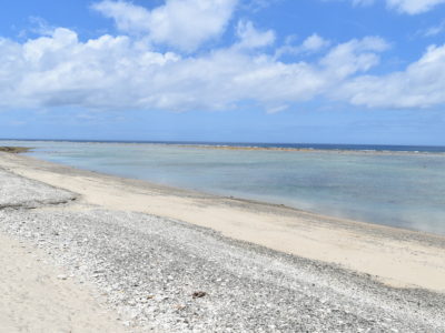夏の味覚、今年も不漁か