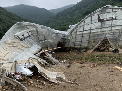瀬戸内町久慈　土石流被害