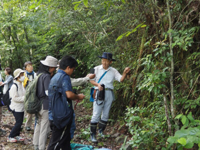 住用・興福地川で植物観察会