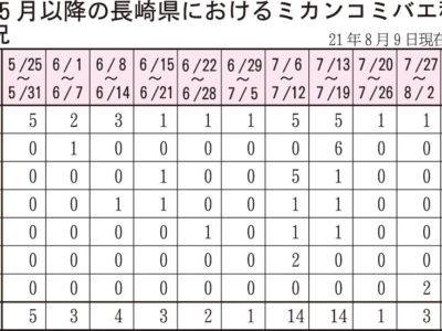 ミカンコミバエ誘殺