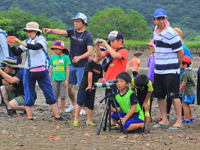 マングローブで生き物観察会