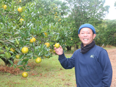有効活用の処方箋 ハコモノ行政考える 下