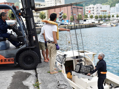 藻場造成プレートを投入