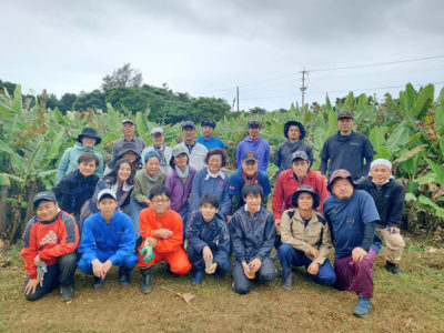 イトバショウ手入れ