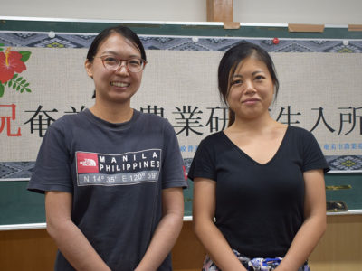 奄美市農業研修生入所式