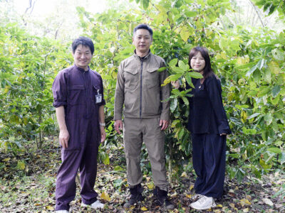 喜界島産コーヒー、評判上々