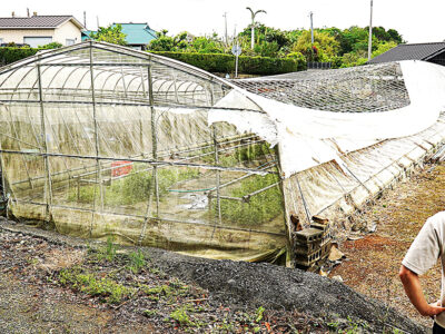 伊仙町で突風発生か