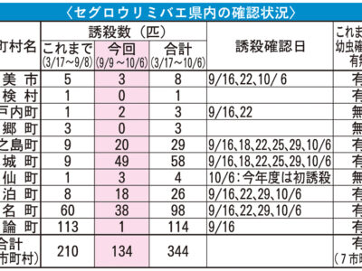 セグロ危機　奄美10市町村で合計344匹
