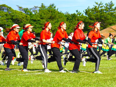 徳之島、伊仙両町　４年ぶり歓喜広がる