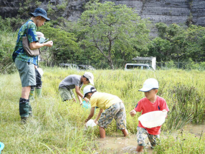大川ダムでビオトープ観察会