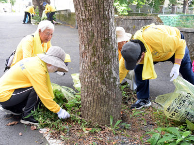 世界自然遺産の道、美しく