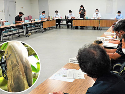 群島希少野生生物保護対策協・徳之島地区