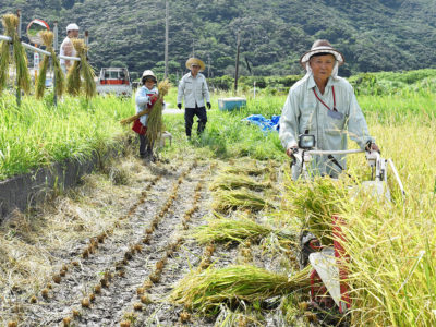 稲刈りシーズン到来！