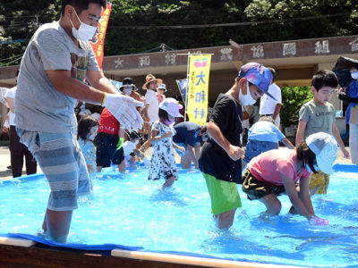 村内限定「おさかな祭り」