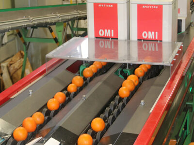 光センサー選果選別は価格安定