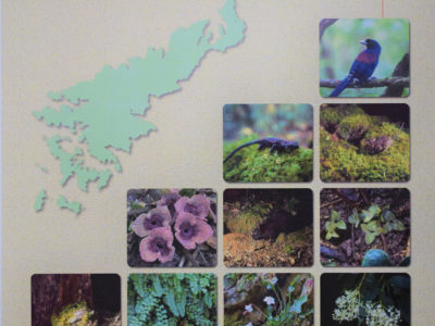 策定から５年経過で改訂