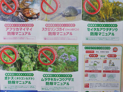 外来種駆除マニュアル公表