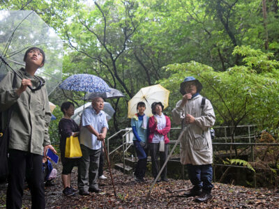一村が愛した森を堪能