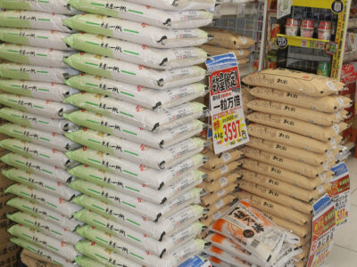 来週から11㌧卸販売へ