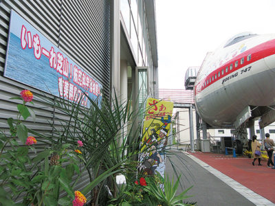 千葉県芝山町・航空科学博物館で「奄美群島フェア」