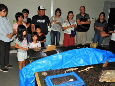 天城町庁舎に「徳之島の森」再現