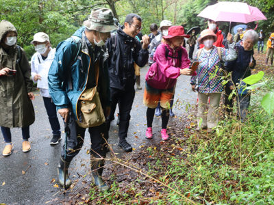 住用町三太郎峠　外来植物モニタリング講習